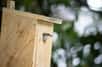 Depuis les années 1990, le chant des oiseaux se fait rare dans les zones urbaines et agricoles. Cependant, quelques conseils permettant d’aider les oiseaux à survivre dans ces lieux où prolifère l’activité humaine peuvent être mis en œuvre. Accrocher des boules de graisse en hiver pour qu’ils se nourrissent ou leur offrir des nichoirs pour qu’ils couvent au printemps font partie des solutions. À l’approche des beaux jours, découvrez comment fabriquer un nichoir pour les oiseaux dans votre jardin !